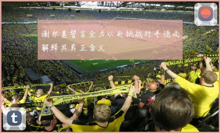 谢尔基誓言全力以赴挑战对手德尚解释其真正含义