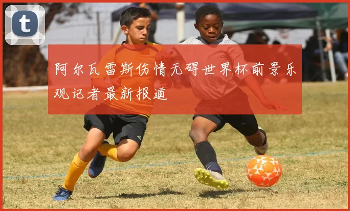 阿尔瓦雷斯伤情无碍世界杯前景乐观记者最新报道